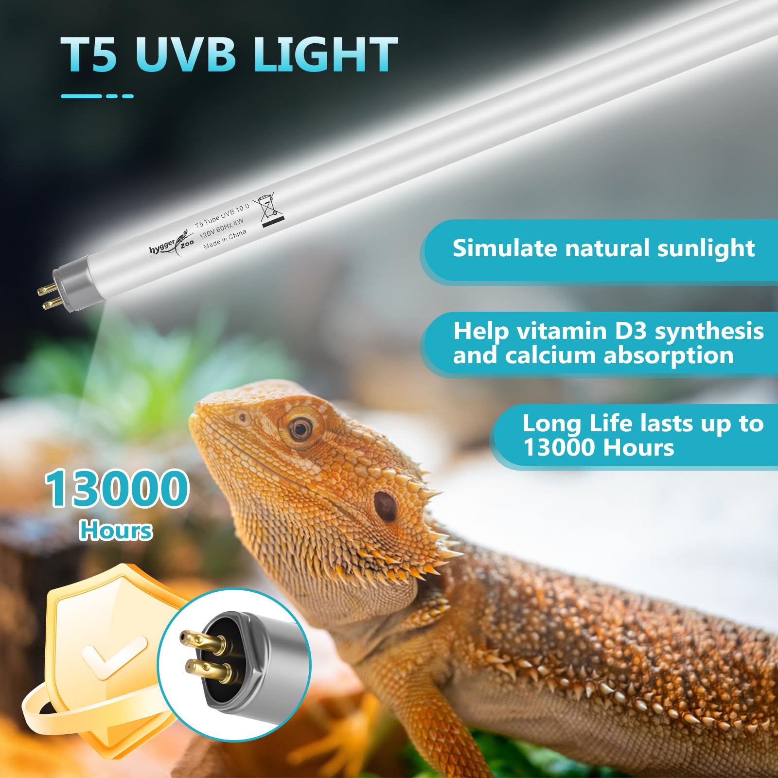 Los reptiles disfrutan de iluminación completa Hygger Zoo para un ambiente natural.