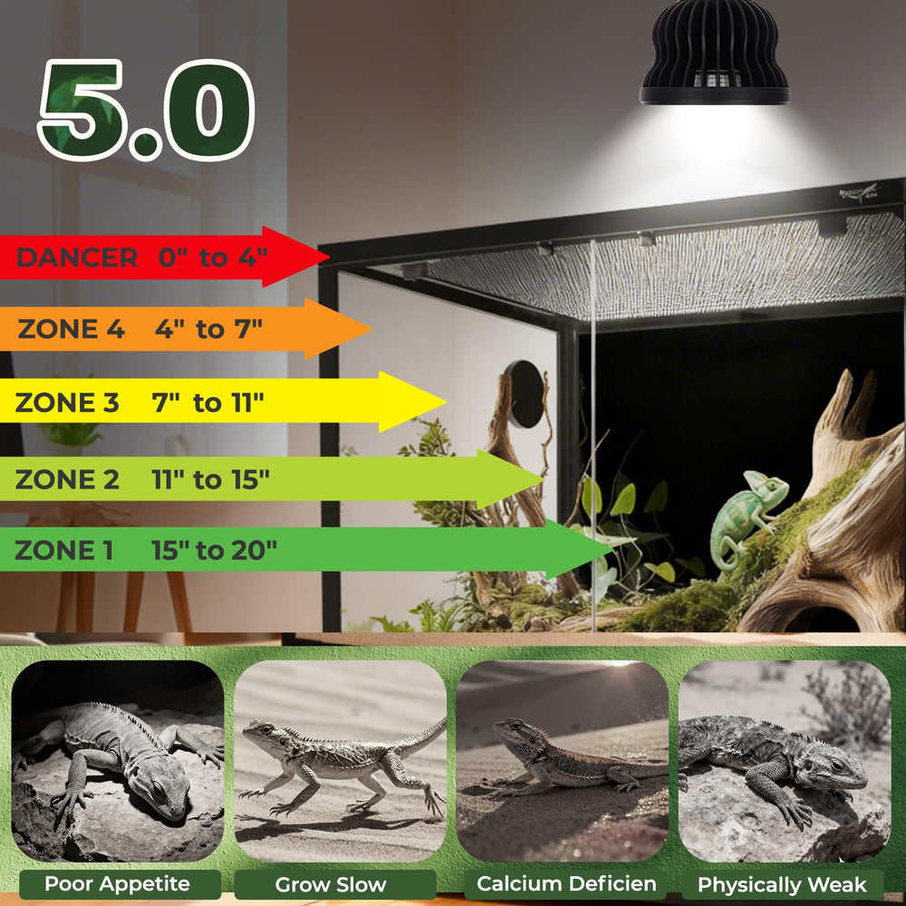 Compatibilidad tropical Hygger Zoo para anoles e iguanas en terrario.