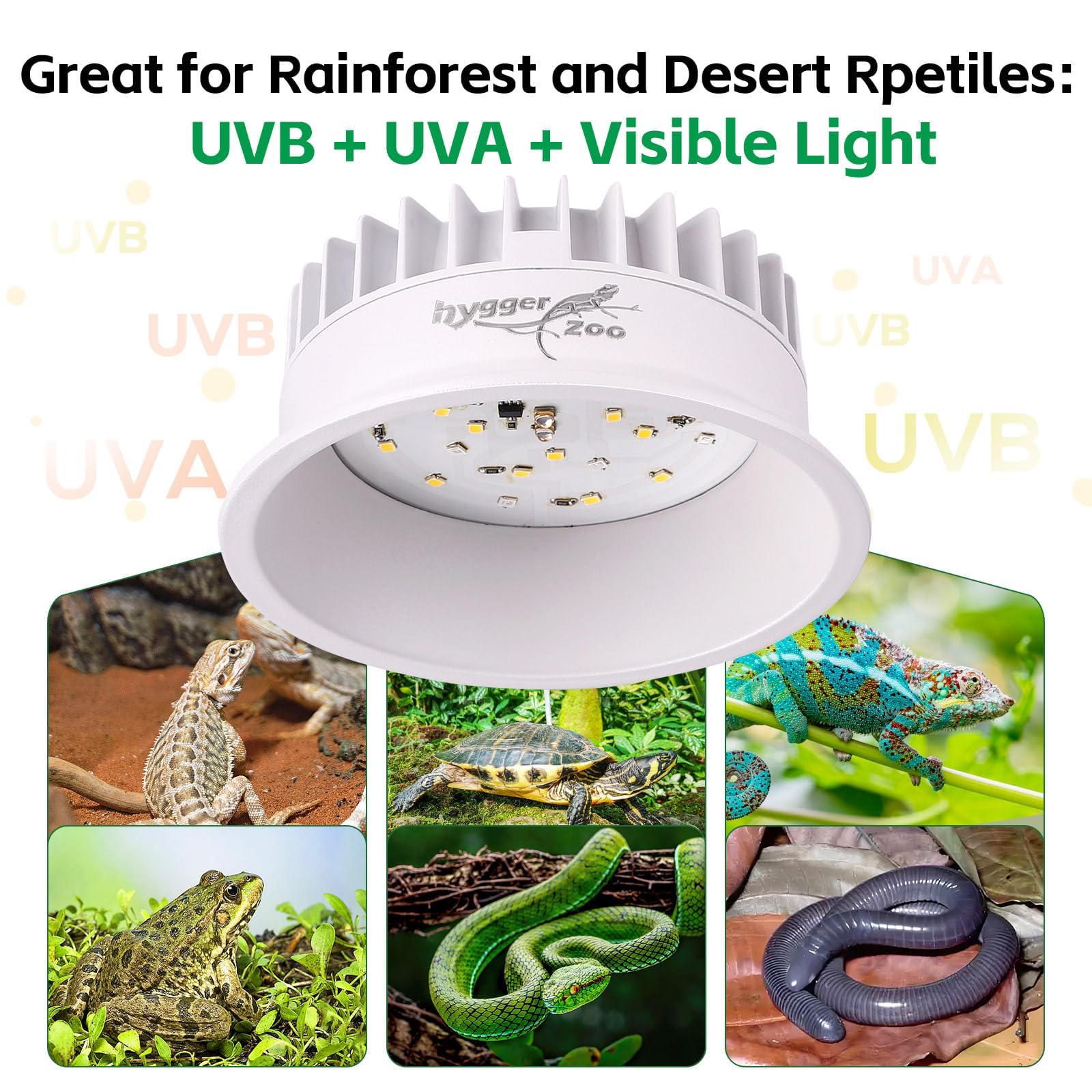 Lámpara Hygger zoo UVB para dragón barbudo con iluminación natural.