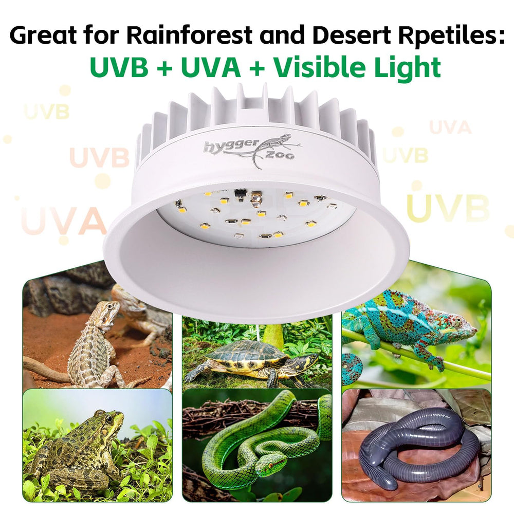 Lámpara Hygger zoo UVB para dragón barbudo con iluminación natural.