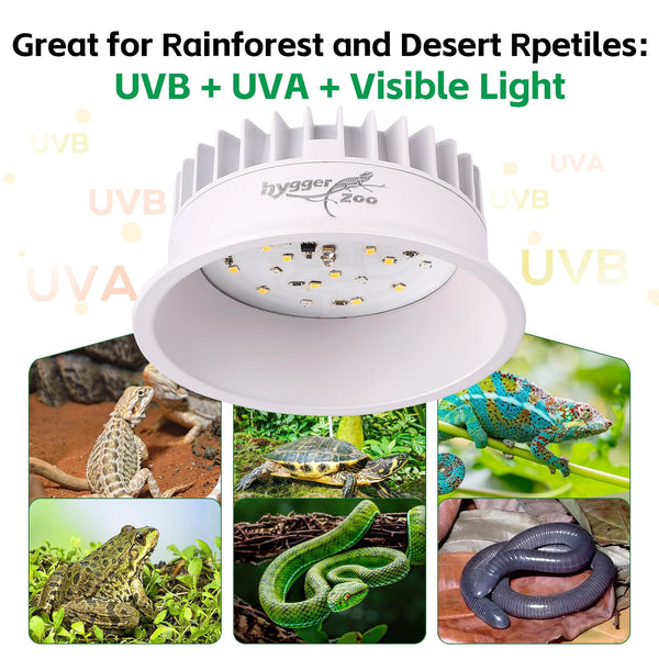 Lámpara Hygger zoo UVB para dragón barbudo con iluminación natural.