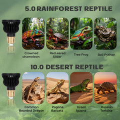 Hygger Zoo, luz UVB-UVA para reptiles 4.5W, iluminación natural para terrario.