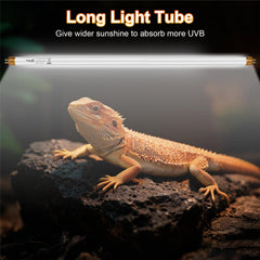 Hygger zoo T5 UVB distribución-luz, garantiza área de exposición amplia