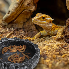 Hygger Zoo textura de roca simulada para reptiles