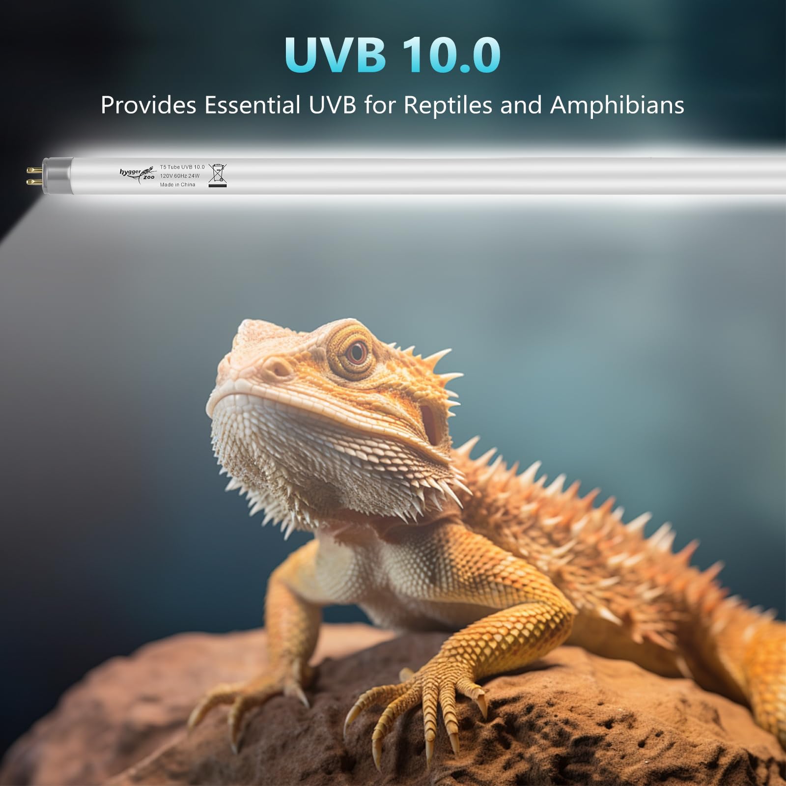 Tubo UVB 24W T5 Hygger Zoo favorece absorción de calcio para desarrollo óseo.