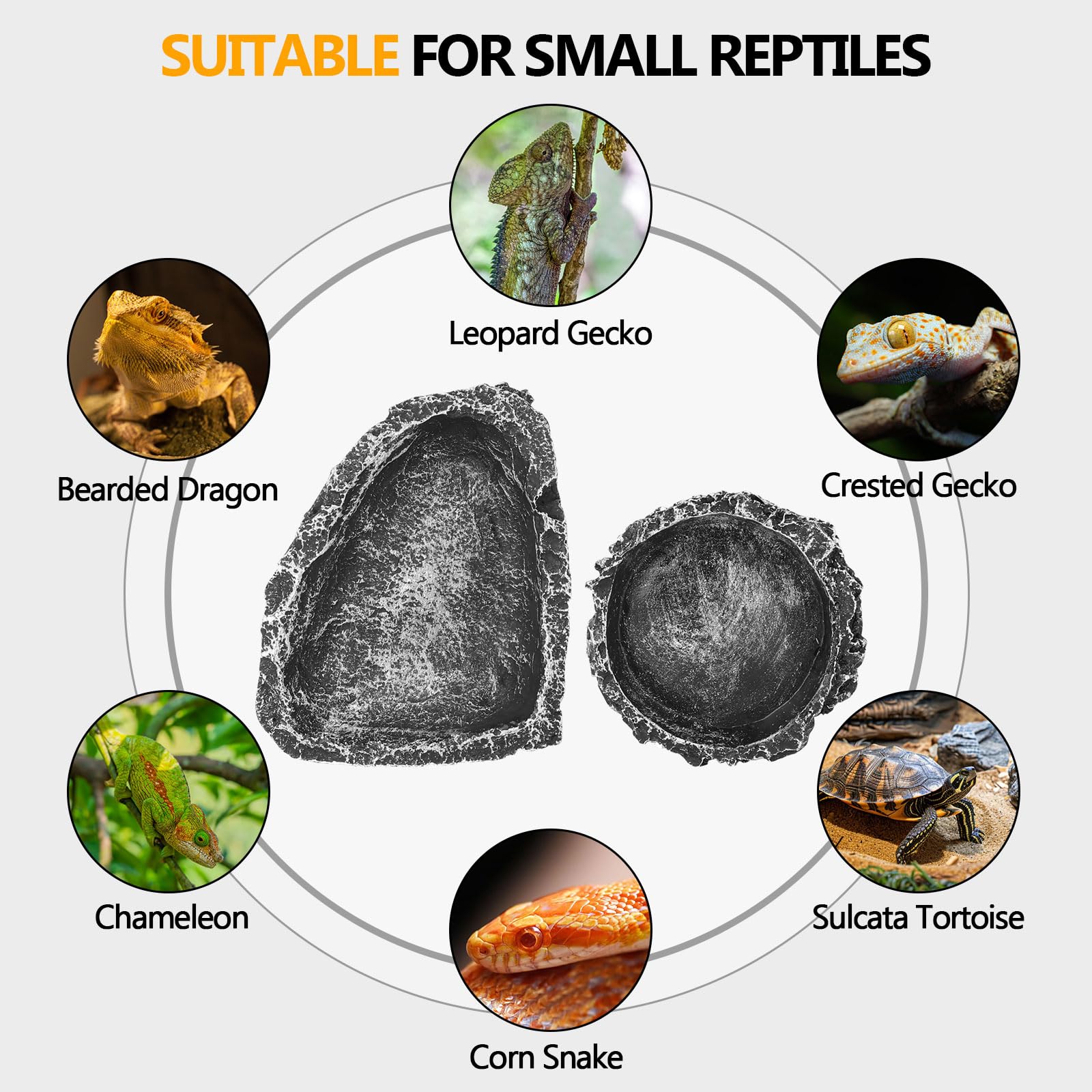 Hygger Zoo uso versátil para reptiles en terrario