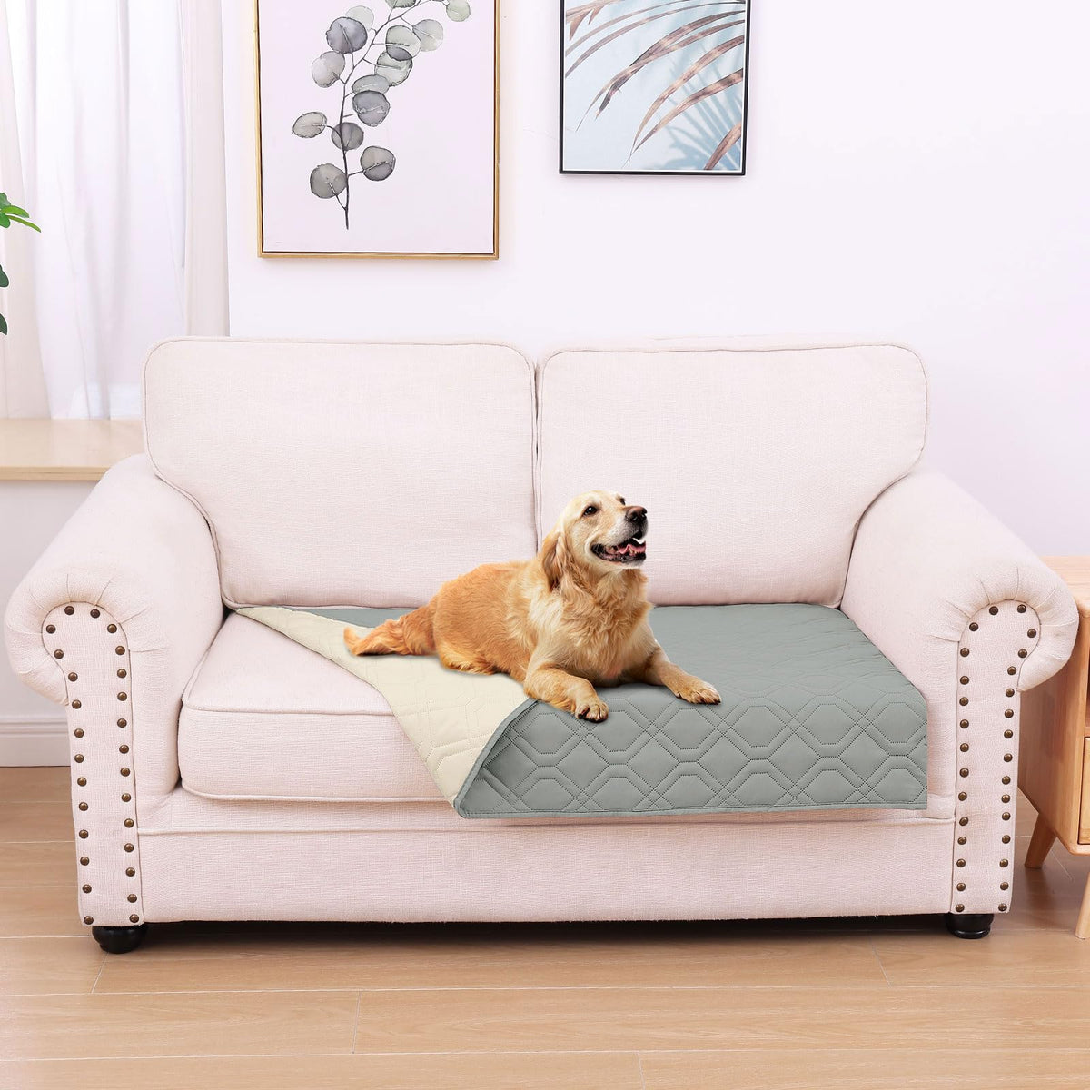 hyha cobija impermeable para perro en cama 30x53, protege y mantiene limpia.