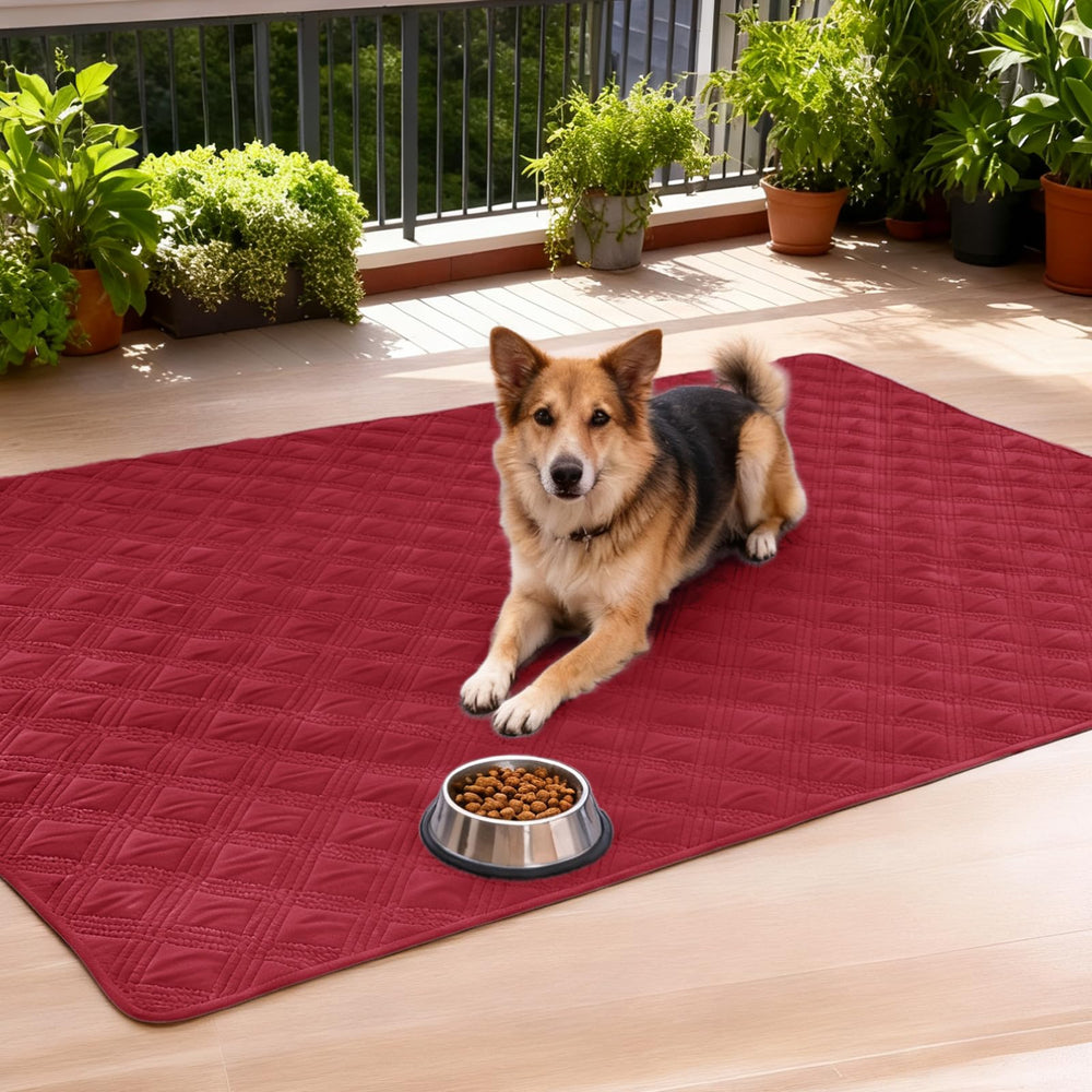 hyha cobija impermeable para perro, patitas limpias tras dormir.