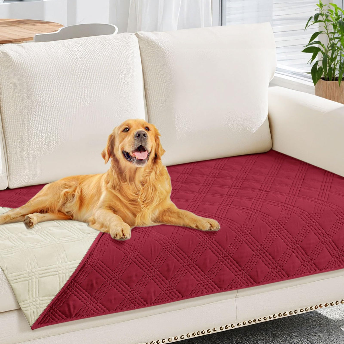 hyha manta impermeable para mascotas, 30x70 en vino rojo, protege sofá