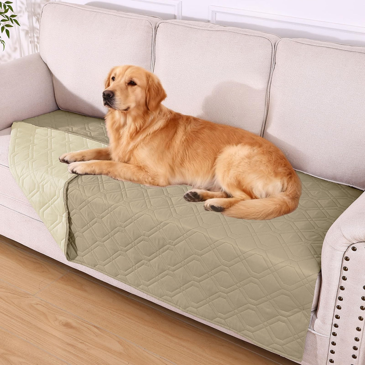 hyha manta impermeable para perros protege el sofá de manchas