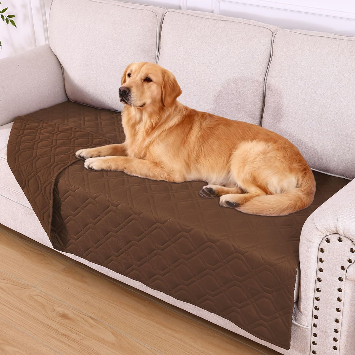 Manta hyha impermeable para perros en sillón, protege ante manchas y humedad.