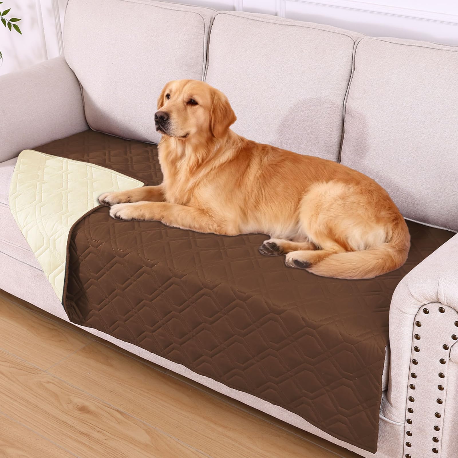 La manta hyha impermeable para perro frente protege contra manchas y derrames