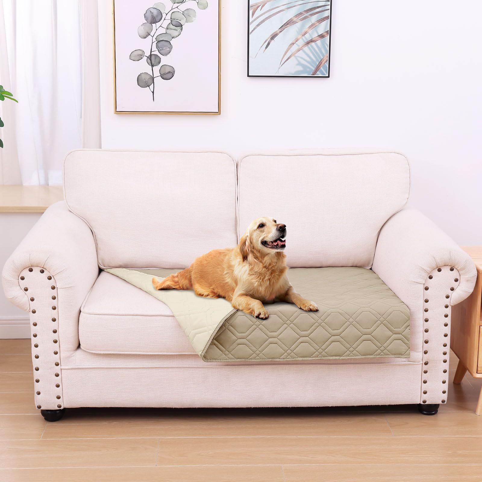 hyha manta impermeable para perros, vista frontal, protege de salpicaduras
