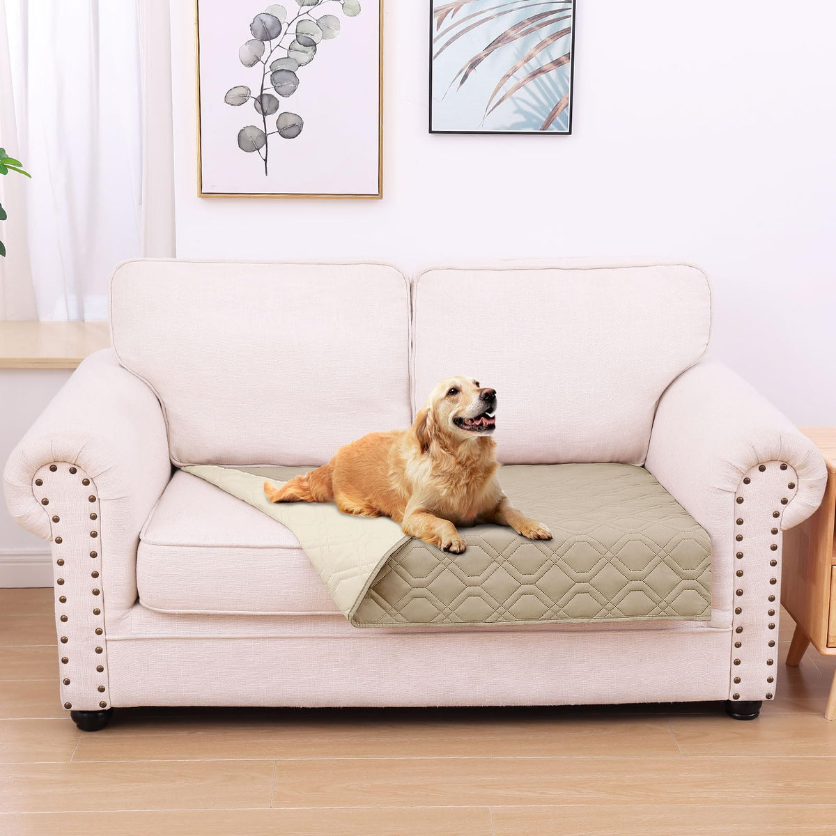 hyha manta impermeable para perros, vista frontal, protege de salpicaduras