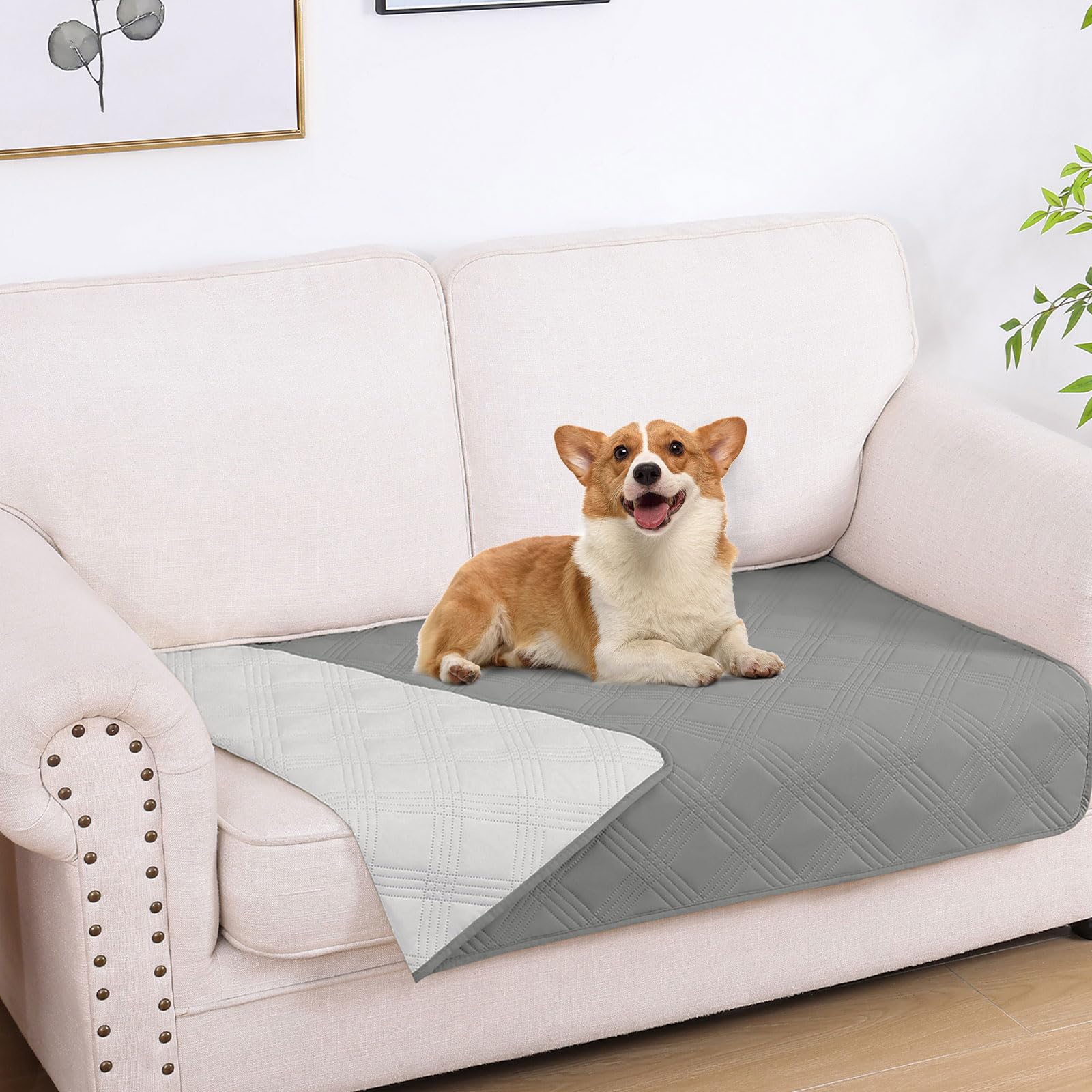 Manta impermeable hyha para perro gris protege el sofá y evita manchas.