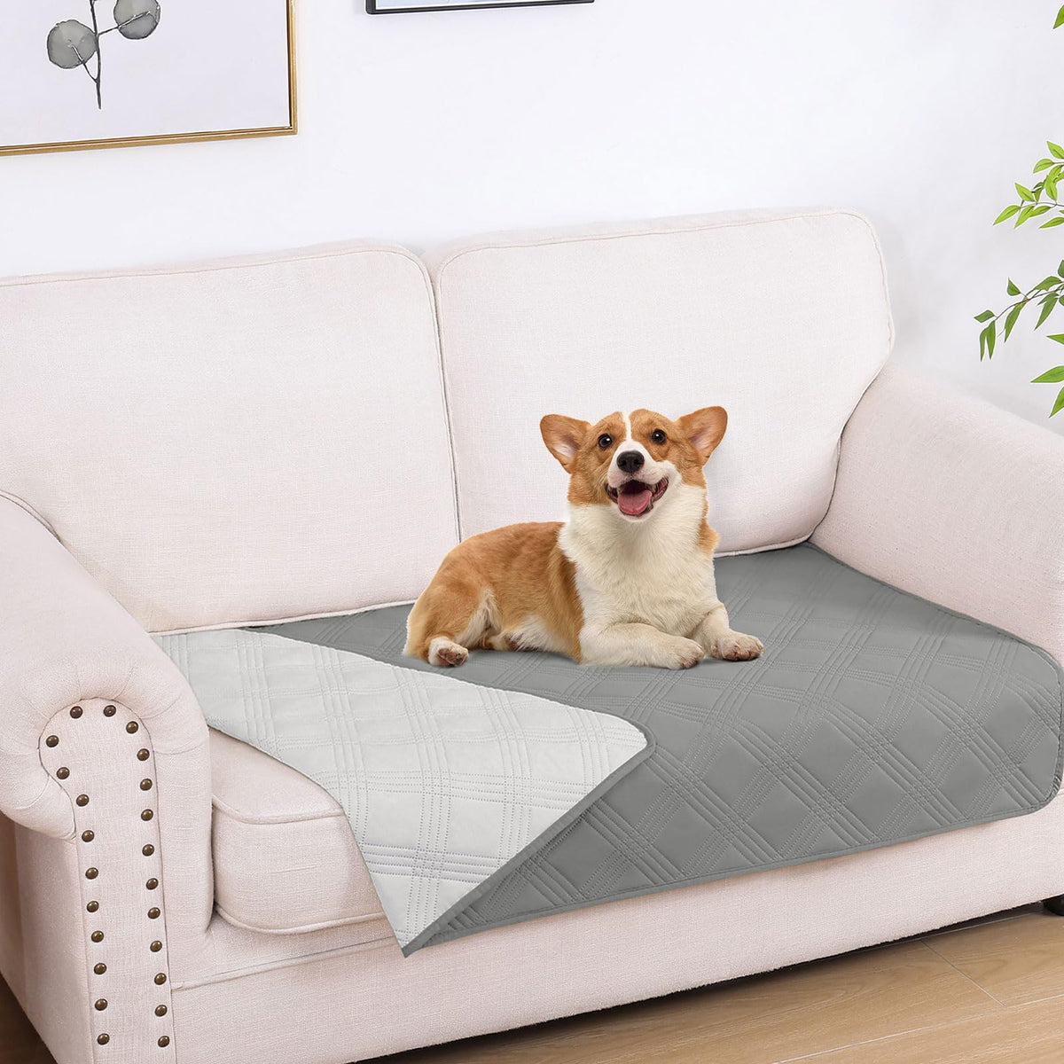 Manta impermeable hyha para perro gris protege el sofá y evita manchas.