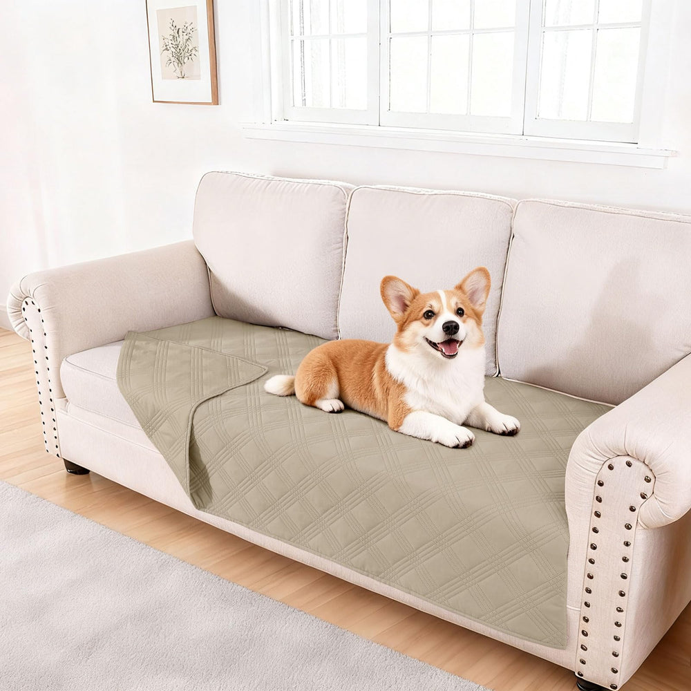 Manta hyha impermeable para perro sobre sofá, protección ante derrames.