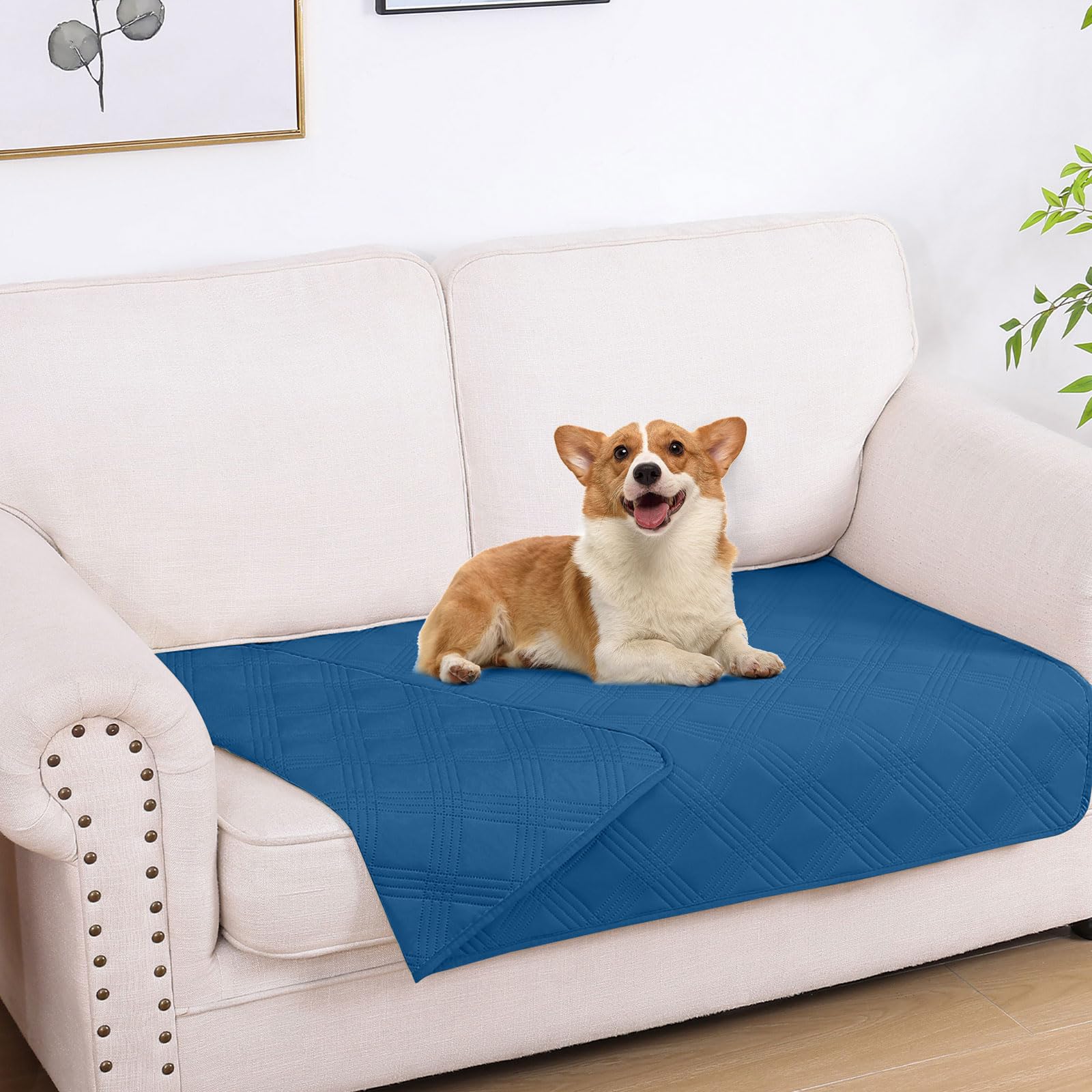 hyha manta impermeable para perro sobre sofá protege el mueble y evita manchas