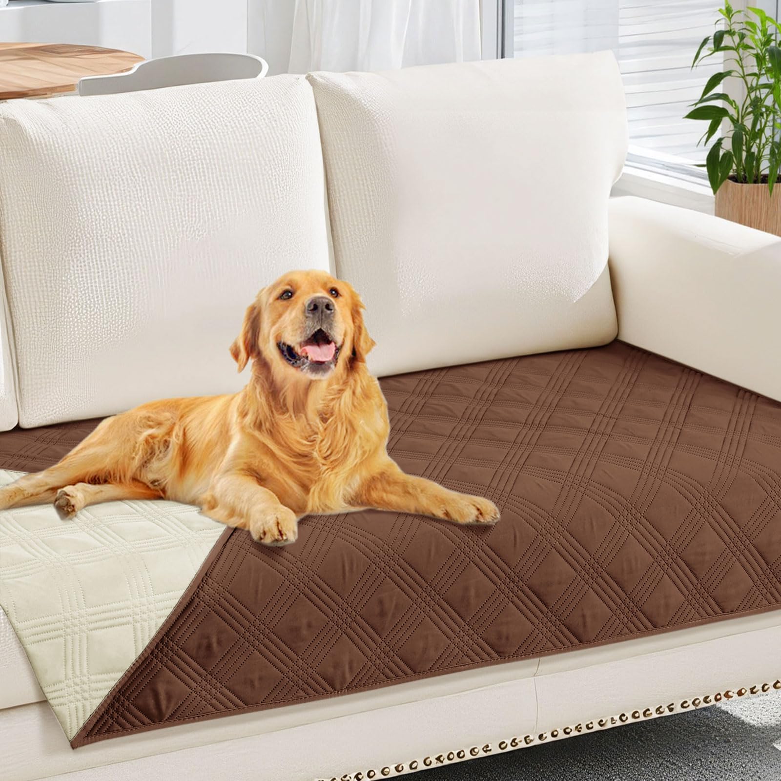 Manta hyha impermeable para perros sobre sofá, doble color reversible