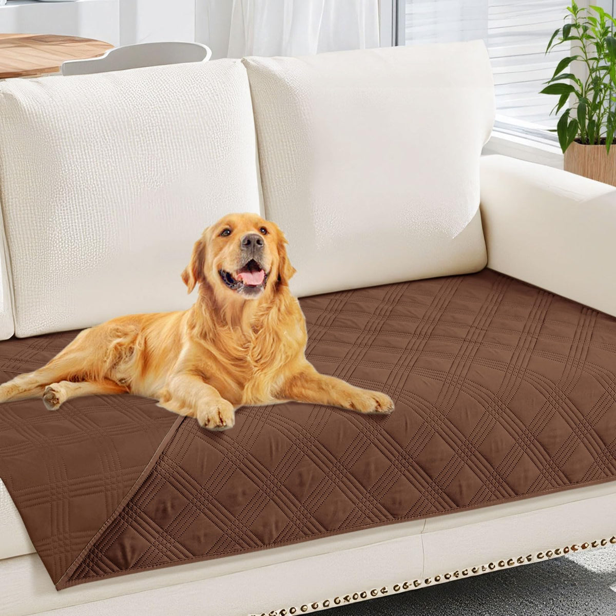 hyha manta impermeable para perros protege sofá del agua y manchas
