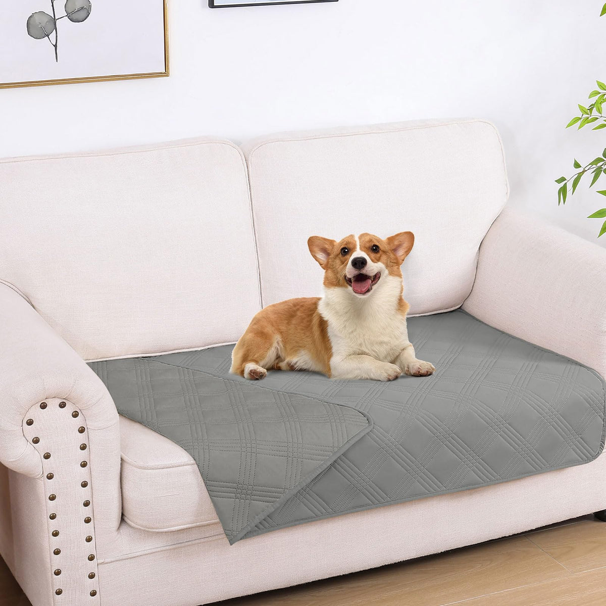 Hyha manta impermeable para perros protege el sofá de manchas.