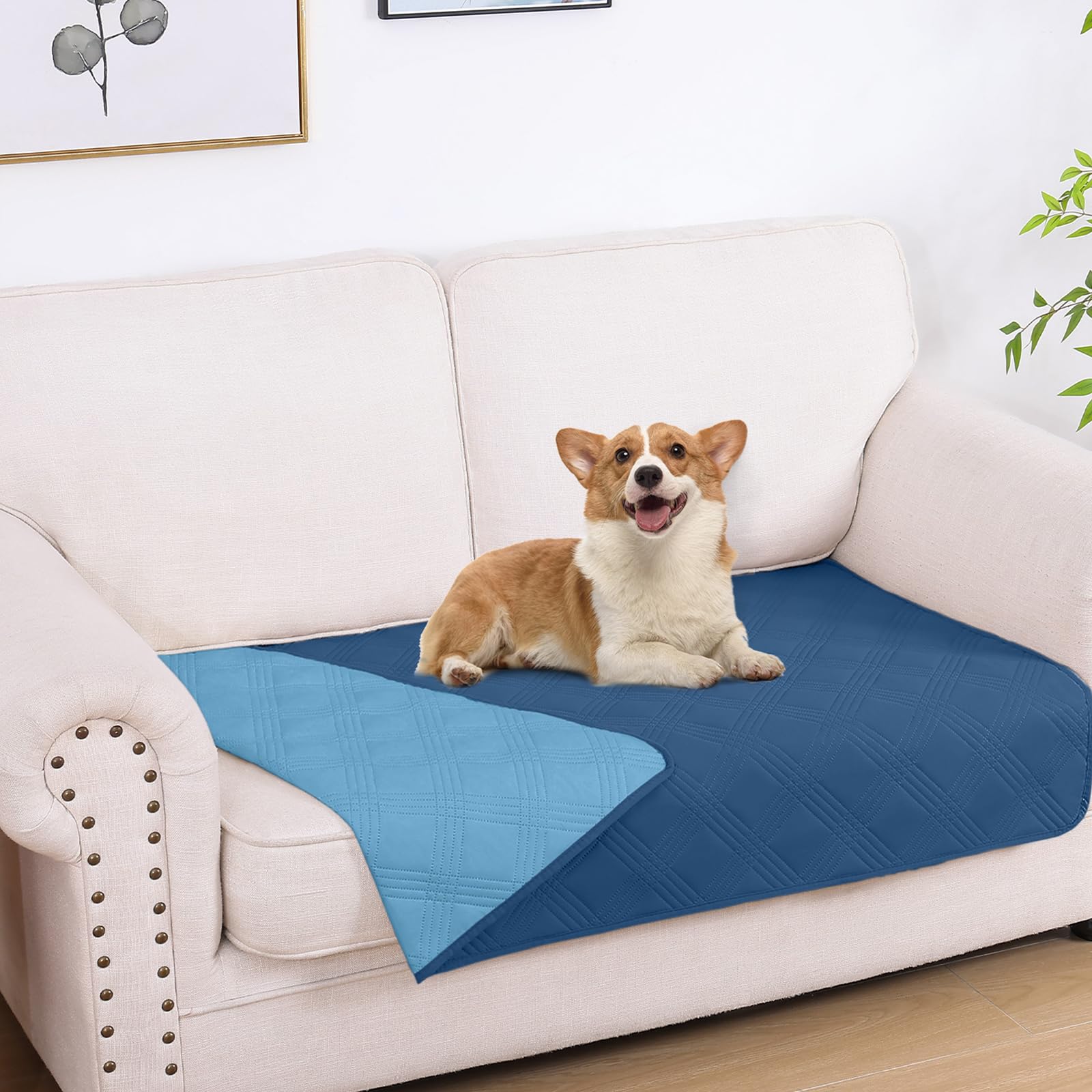 Manta hyha impermeable para perros, frentes, protege el sofá.