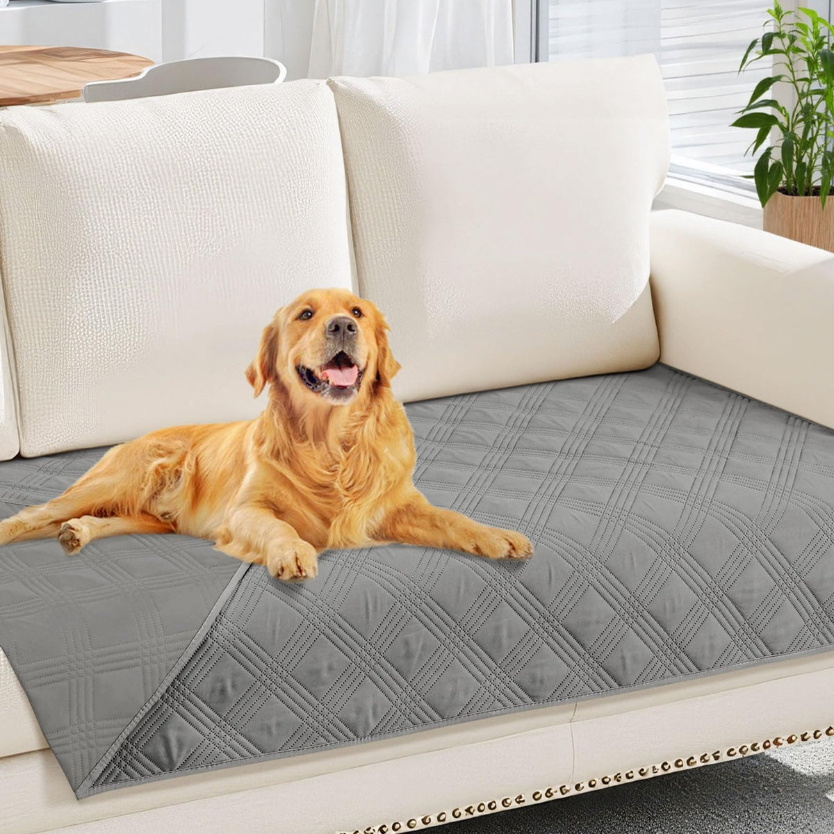 Manta impermeable hyha para perro protege sofá y evita manchas.
