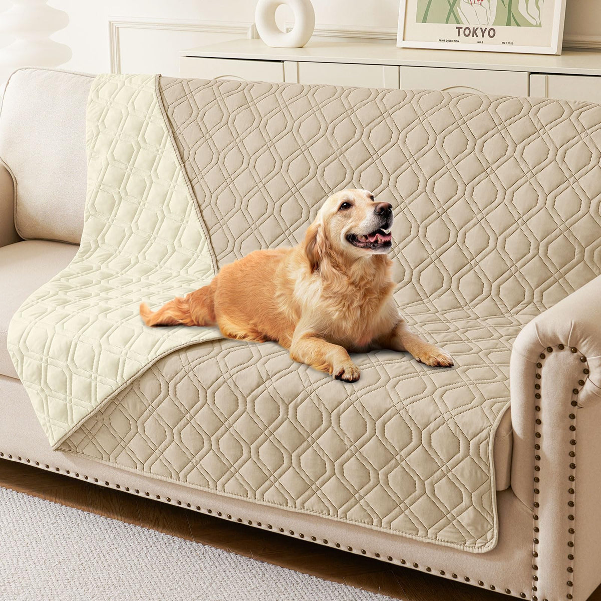 Hyha manta impermeable para perros sobre sofá, protege de manchas y agua