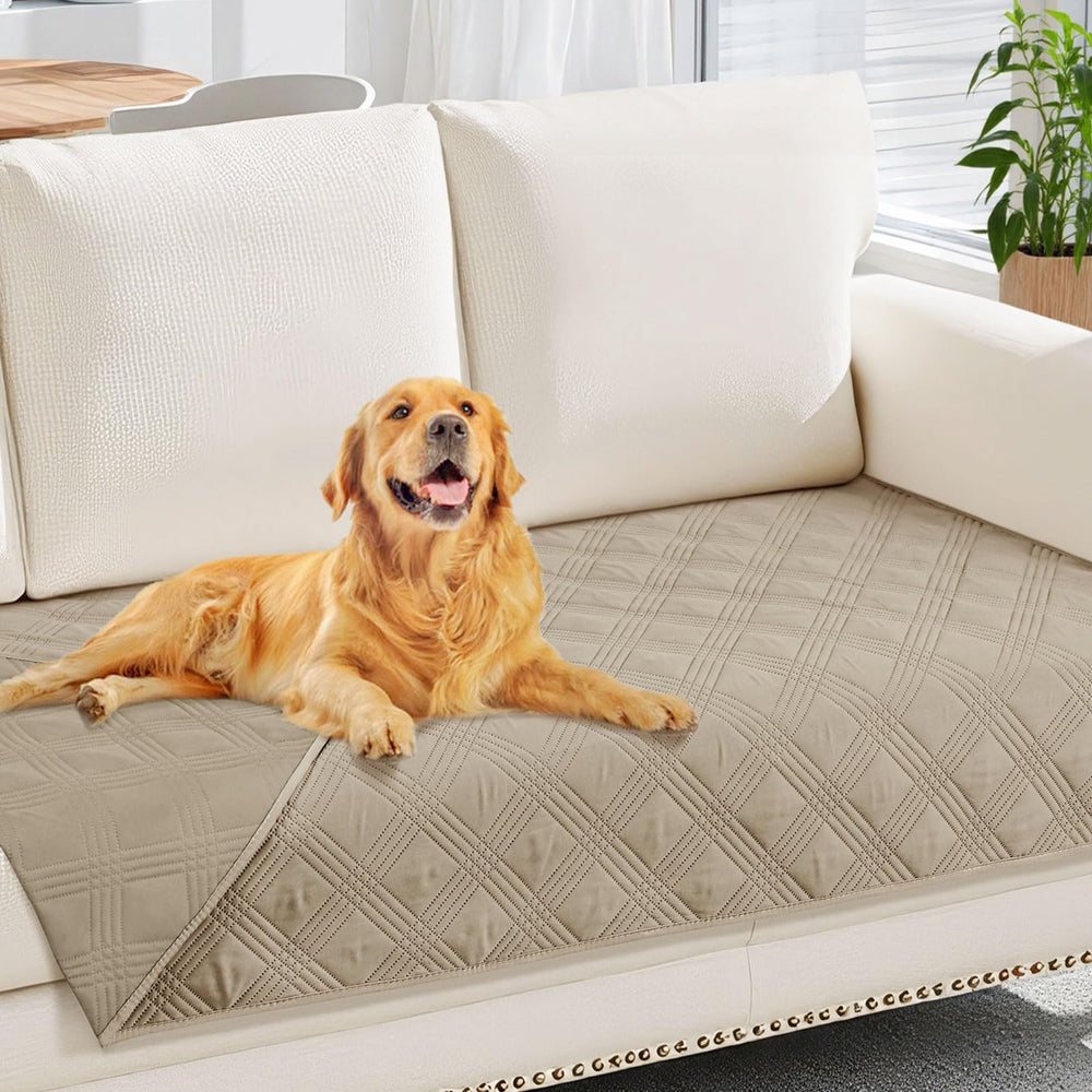 Manta hyha impermeable para perros en sofá, protege salpicaduras y pelo.