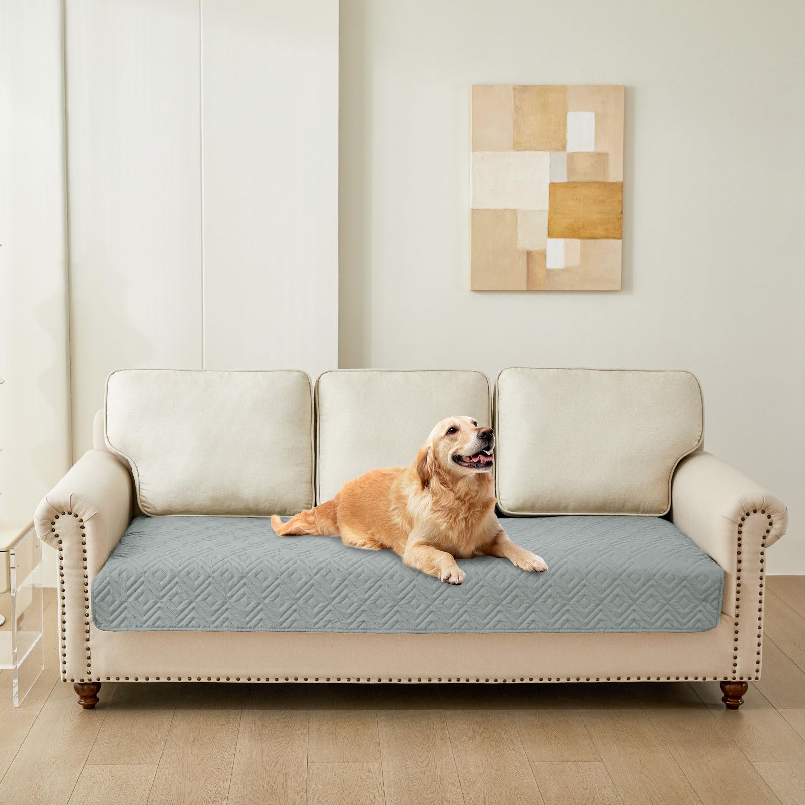 Hyha protección para muebles ante manchas y pelos