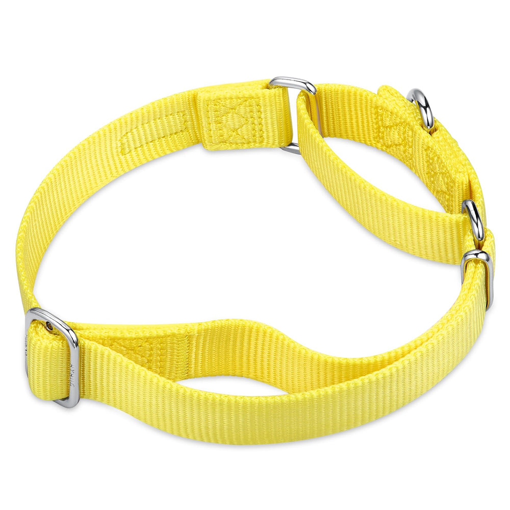 Hyhug collar martingale con ajuste de 13-19 pulgadas para talla mediana.
