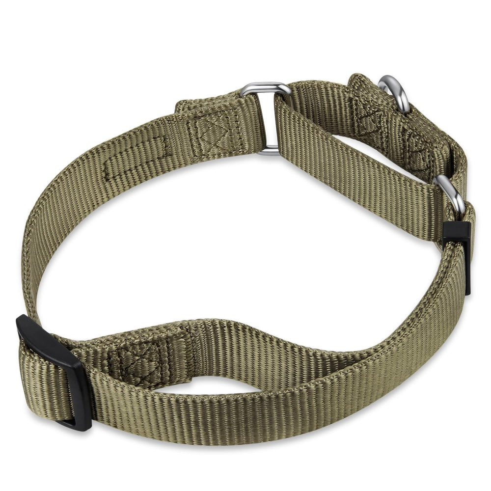 Collar Hyhug Martingale para perro mediano verde nailon duradero para uso diario.