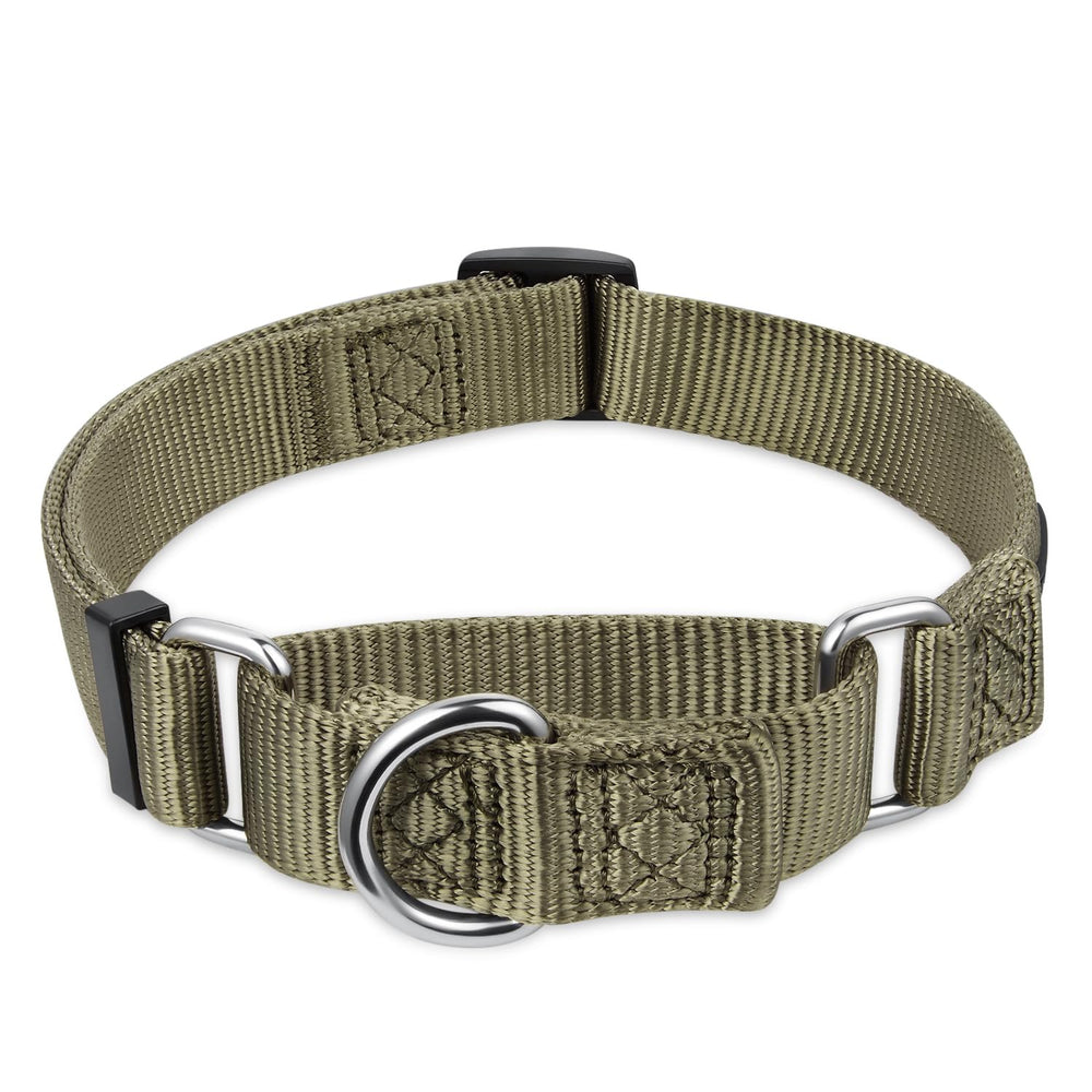 Collar Hyhug Martingale para perro mediano verde ideal para paseos y entrenamiento.