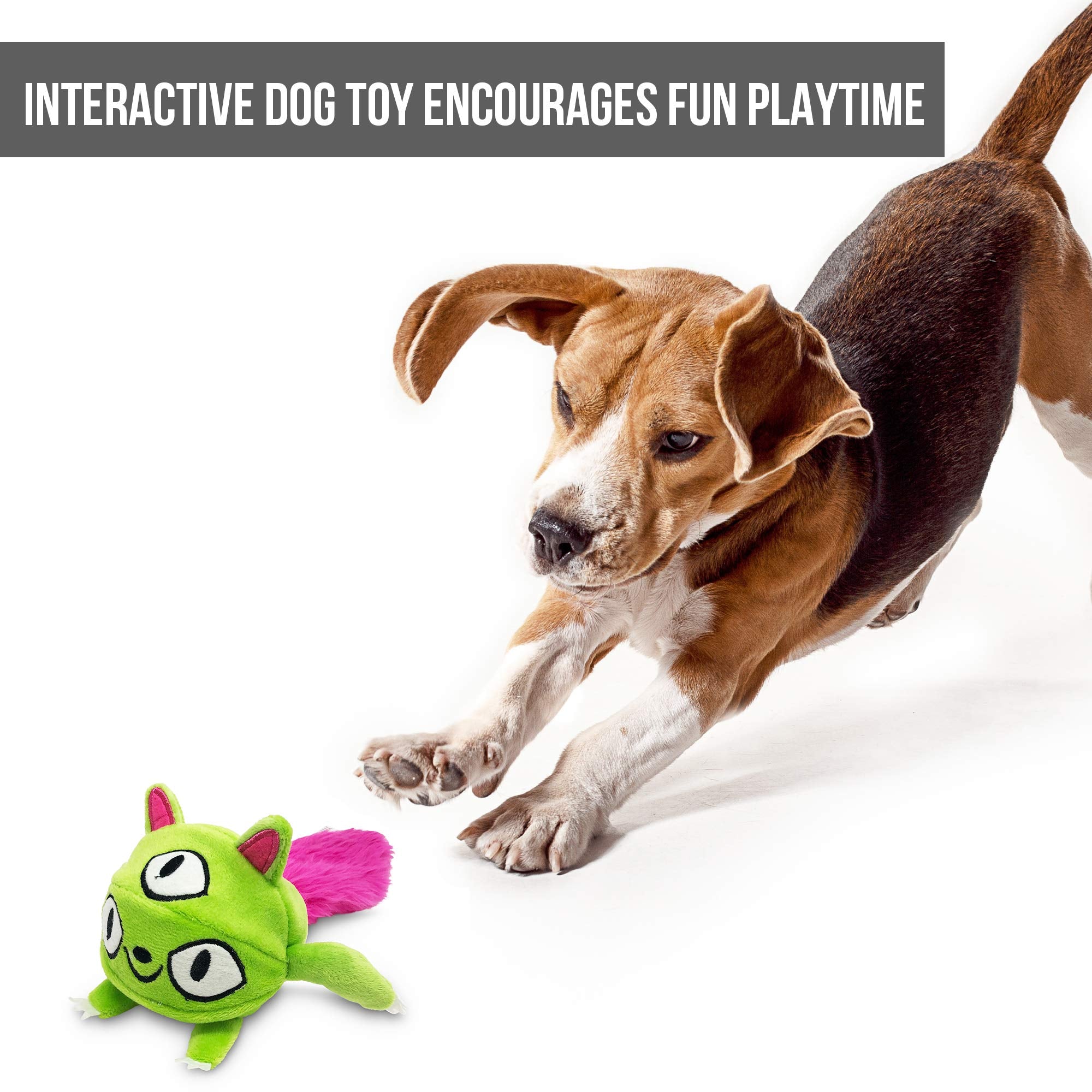 Hyper Pet Doggie Pal Monster, entretenimiento-para-perros-todas-las-razas que invita a moverse.