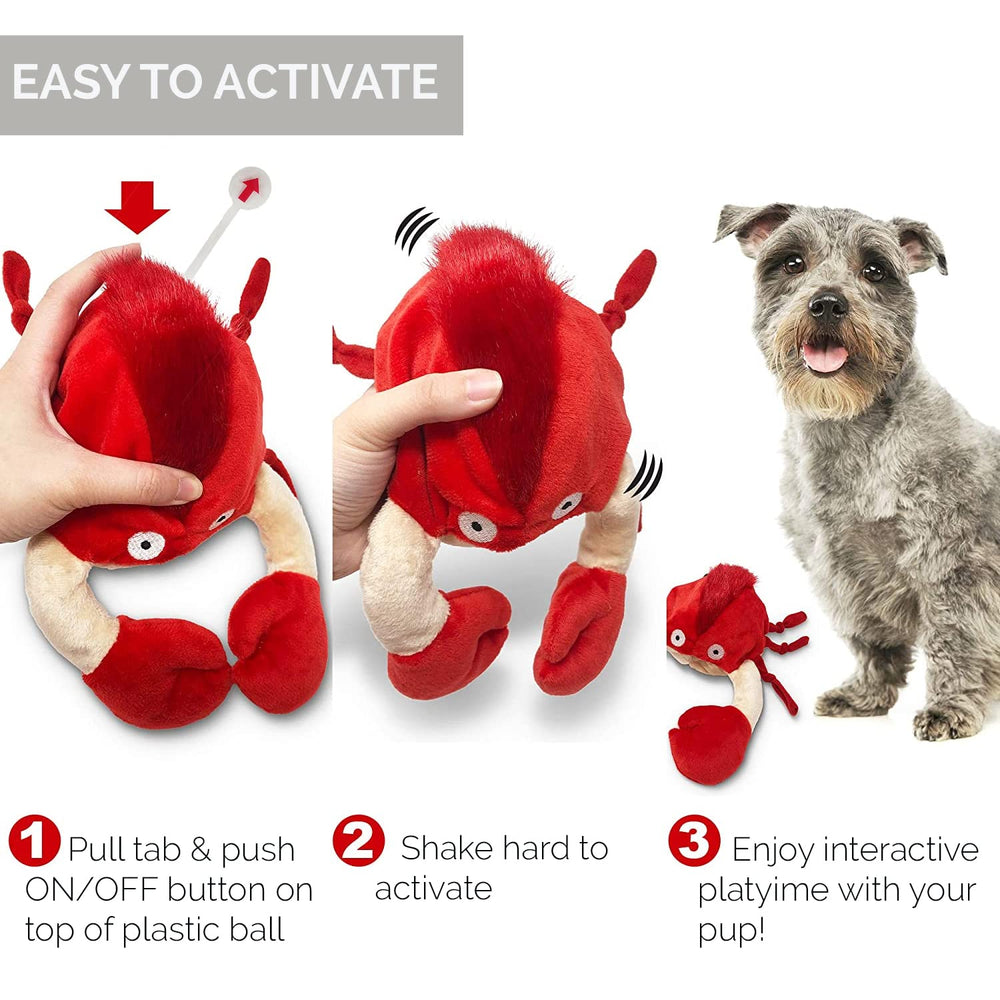 Hyper Pet Doggie Pal, movimiento errático que captura la atención del perro.