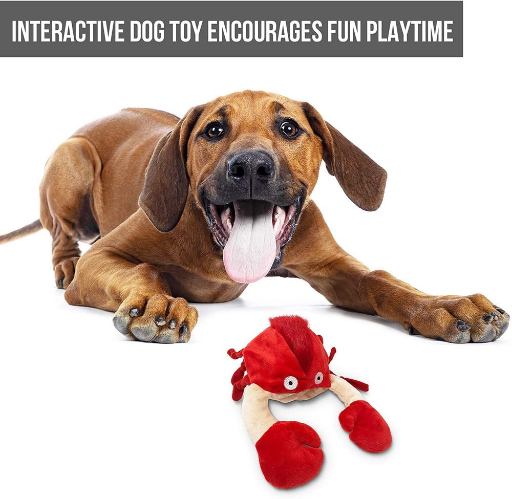 Hyper Pet Doggie Pal, opción ideal para perros que se aburren fácilmente durante el día.
