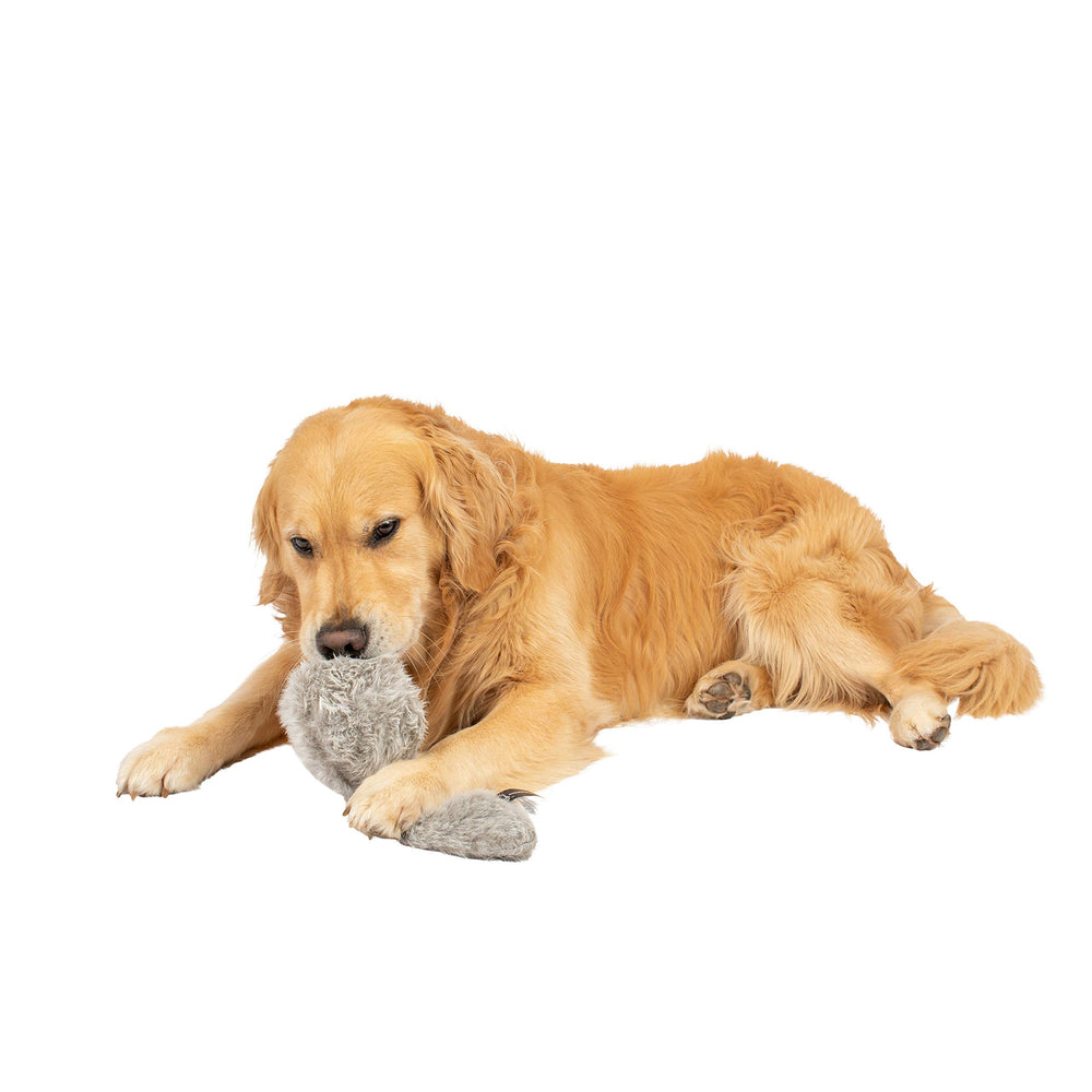 Hyper Pet Doggie Tail en accion promueve juego dinamico.