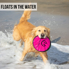 Hyper Pet Flippy Flopper, colores brillantes facilitan localizarlo entre hierba.