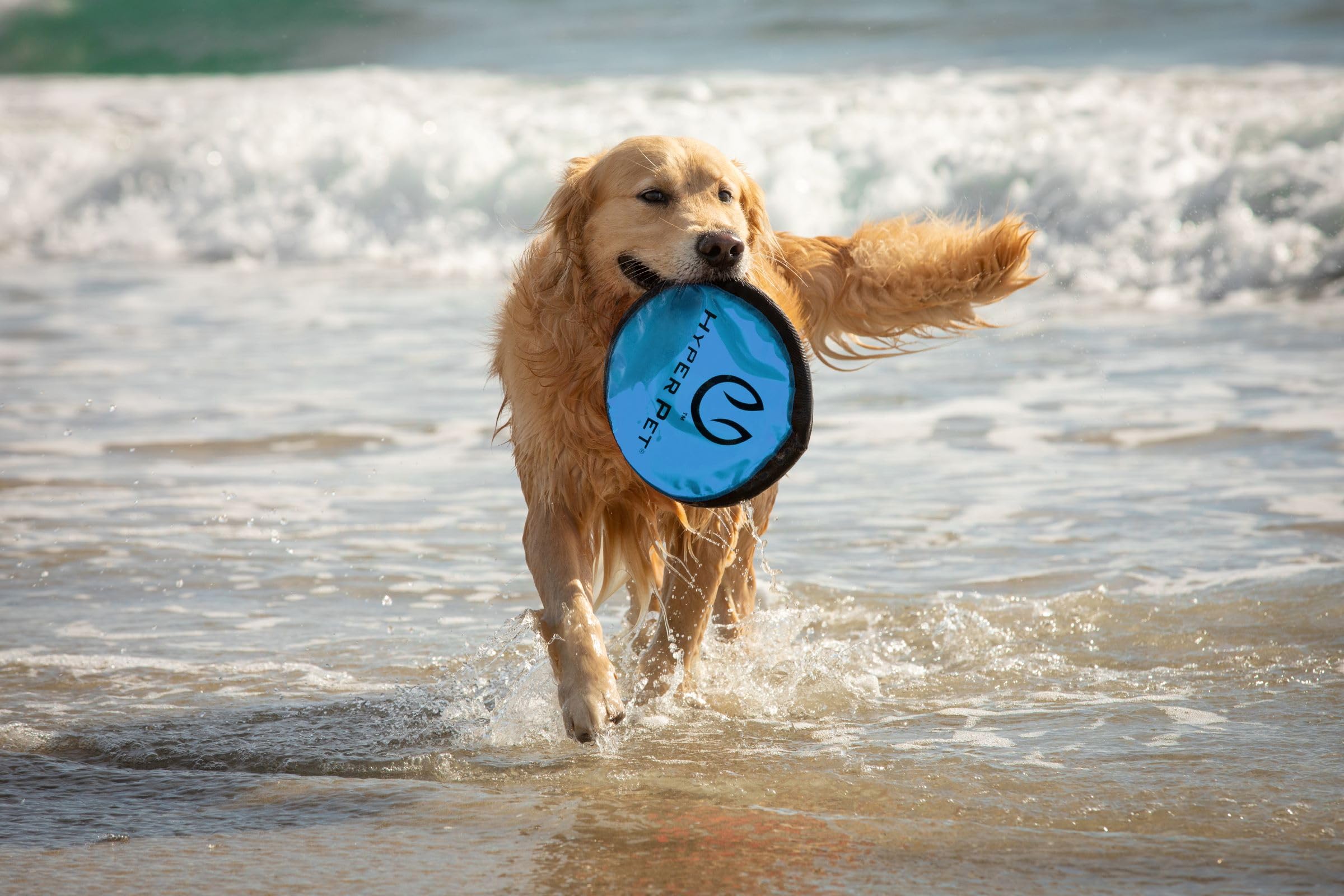 Ideal para playa y piscina Hyper Pet Flippy Flopper