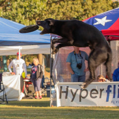 Hyperflite Jawz disco volador 8-75 diseño duradero para uso diario al aire libre.