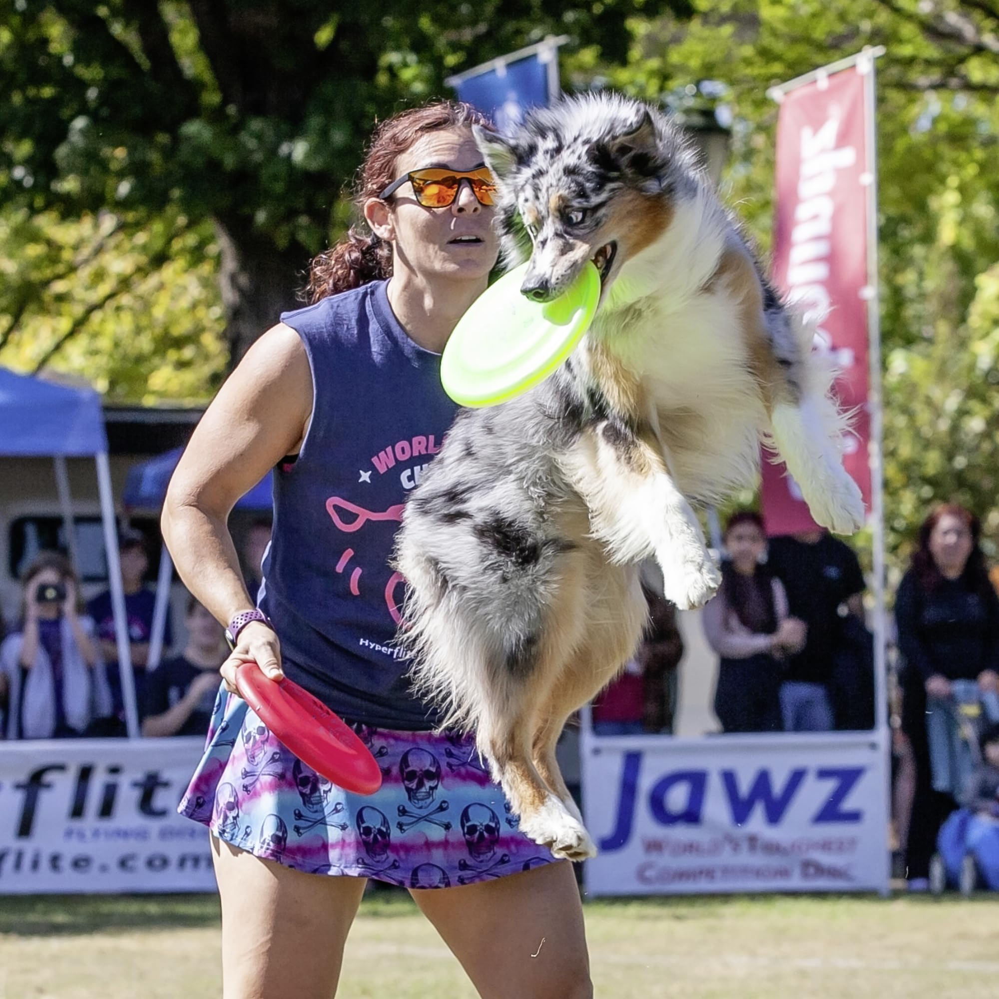Hyperflite K-10 Jawz ideal para juegos nocturnos con perros grandes