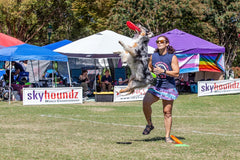Hyperflite K-10 Jawz Rosa, disco para exterior, mejora la experiencia de juego entre perro y guía.