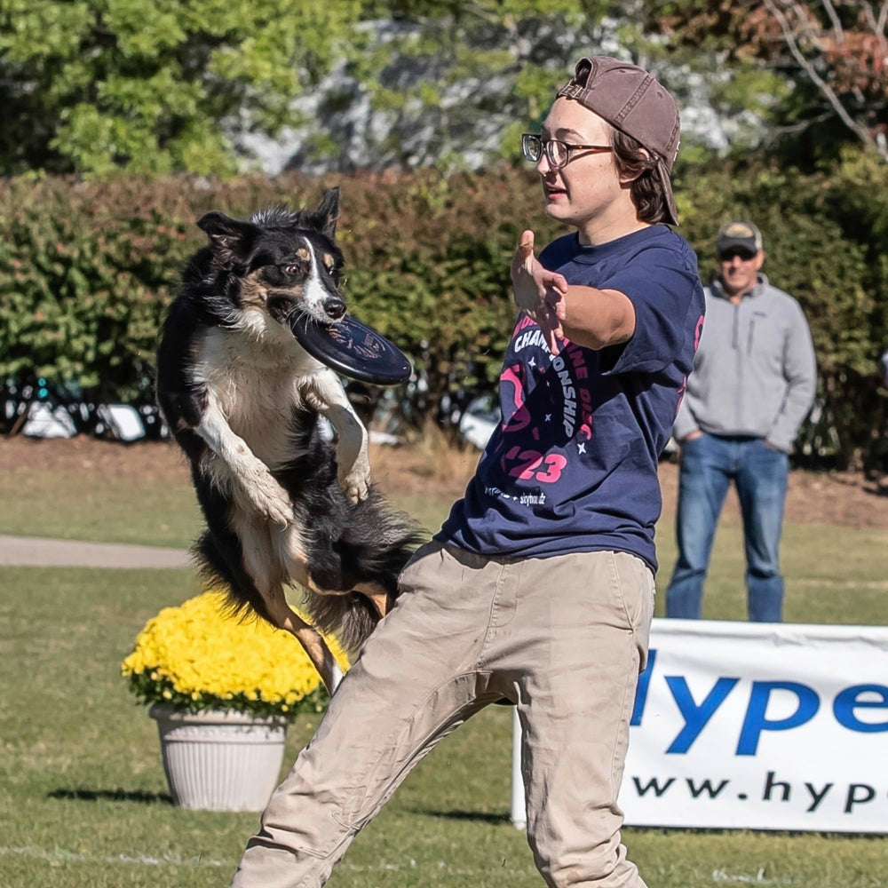 Hyperflite Pup Jawz no flota, ideal para superficies secas.