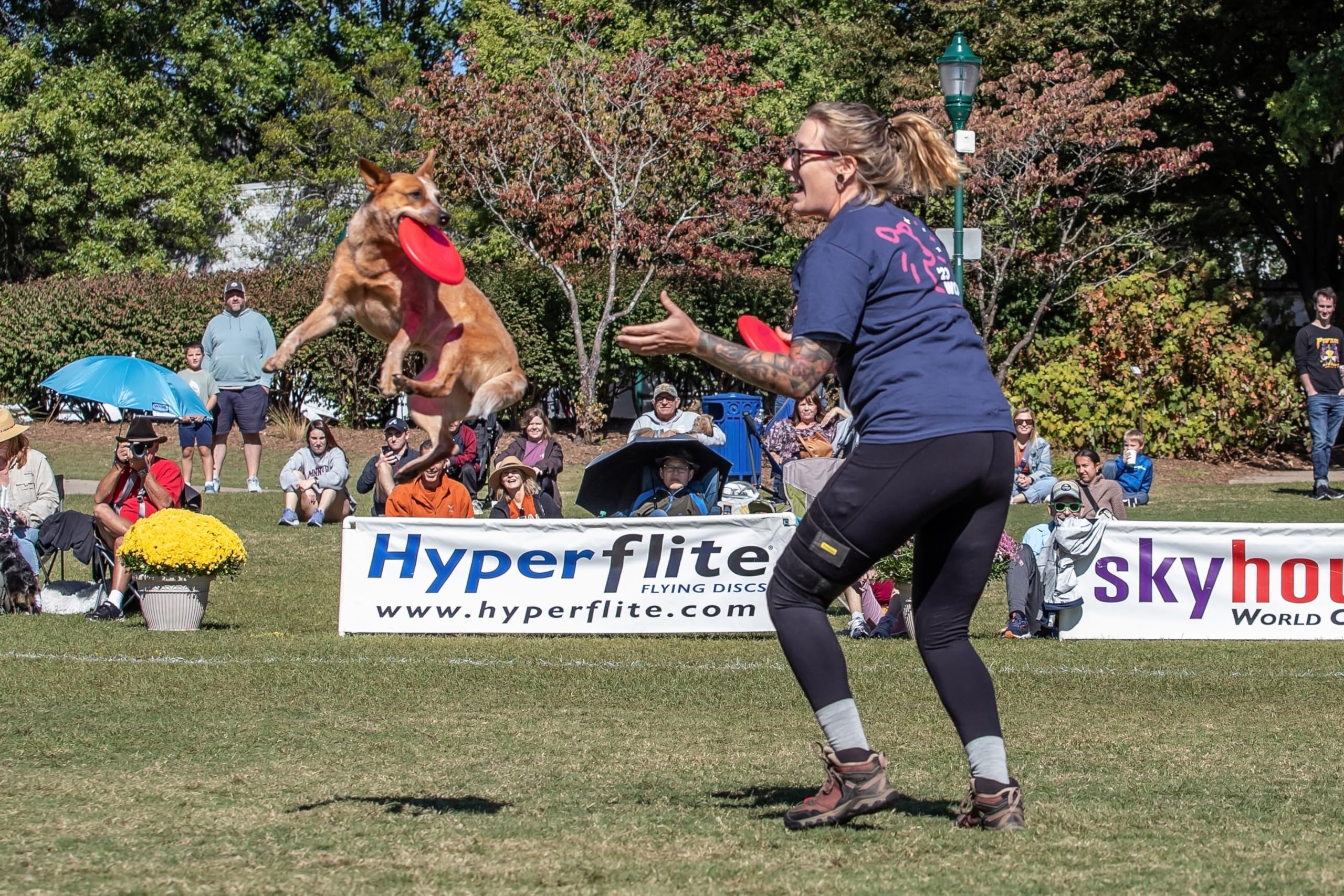 Hyperflite Pup Jawz rosado disc con agarres dobles para mayor control.