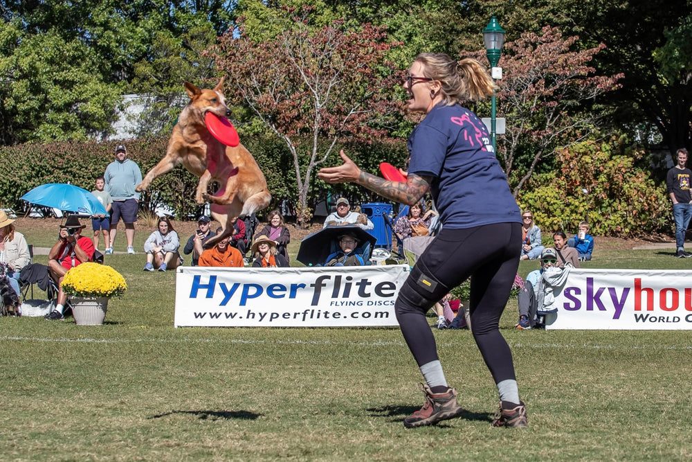 Hyperflite Pup Jawz rosado disc con agarres dobles para mayor control.