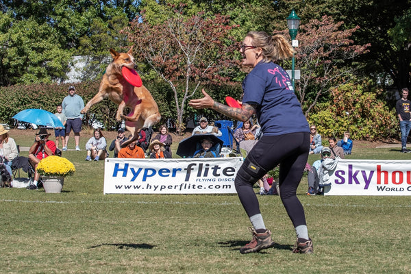 Hyperflite Pup Jawz rosado disc con agarres dobles para mayor control.