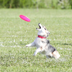Hyperflite Pup Jawz rosado disc para perros menores de 16 pulgadas.