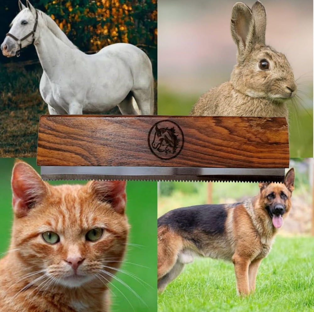 Regalo práctico de cuidado del pelaje con I.N Premium para mascotas.
