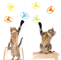 IAXSEE: lanzadores azules para gatos, ideales para juegos de caza y seguimiento.