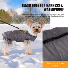 iBuddy tallas variadas para razas pequeñas como Chihuahua y Pomerania.
